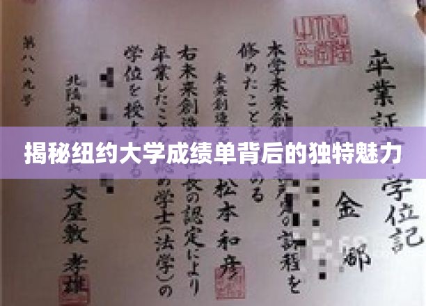 探寻纽约大学成绩单的独特风采