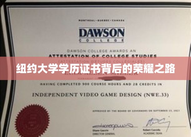 纽约大学学历证书背后的荣耀之路