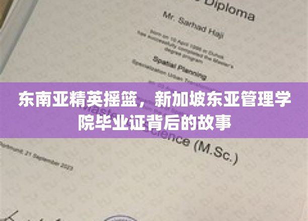 新加坡东亚管理学院，培育东南亚未来领袖的摇篮之旅