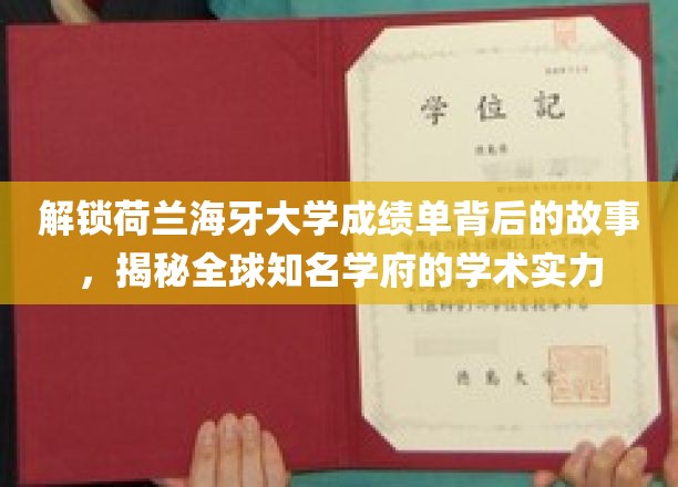 揭秘荷兰海牙大学，成绩单中的学术传奇与真实实力
