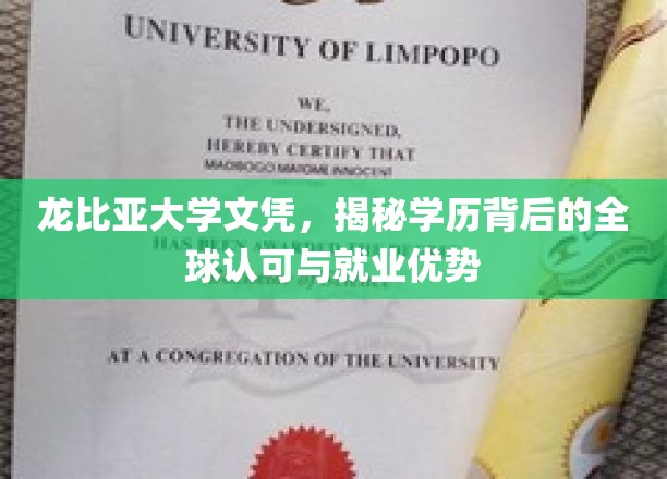 龙比亚大学文凭，深度解析其全球认可度与职场竞争优势