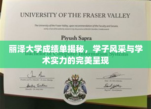 丽泽大学成绩单揭秘，学子风采与学术实力的完美呈现