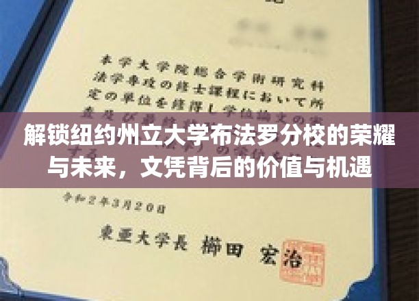 探寻纽约州立大学布法罗分校，文凭之光下的无限可能