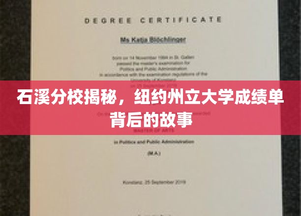 揭开石溪分校面纱，纽约州立大学成绩单背后的真实面纱