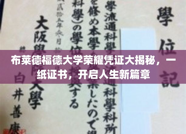 布莱德福德大学荣誉证书大揭秘，一纸证书，开启人生新篇章
