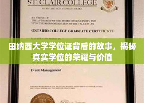 田纳西荣耀，揭秘学位证的传奇与深层价值