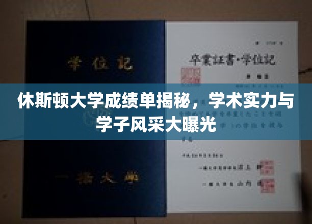 休斯顿大学学子档案，揭秘学术实力与校园风采全貌