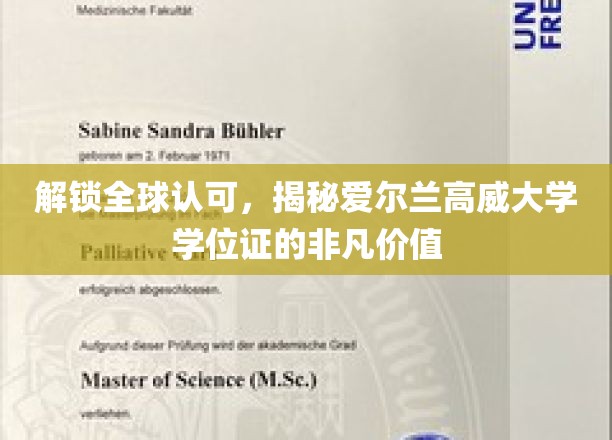 解锁全球认可，揭秘爱尔兰高威大学学位证的非凡价值