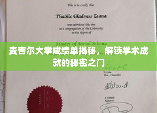 麦吉尔大学成绩单揭秘，解锁学术成就的秘密之门