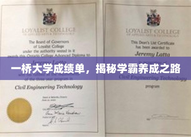 解码一桥学霸，成绩单背后的卓越养成之道
