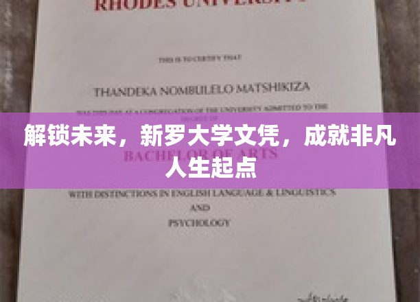 解锁未来，新罗大学文凭，开启非凡人生起点
