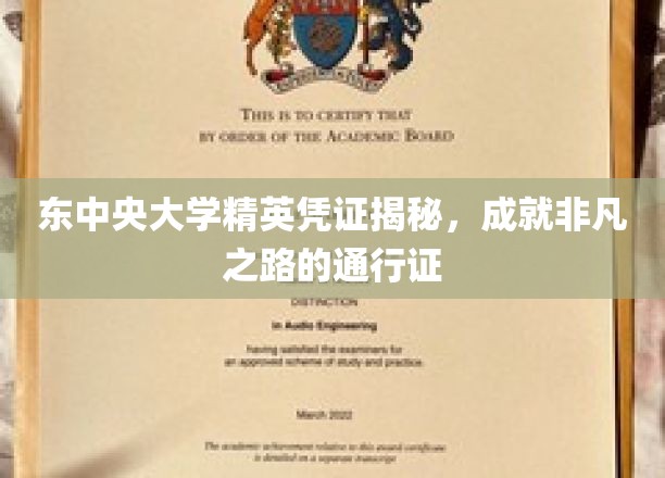 东大精英通行证，开启非凡成就的秘密钥匙