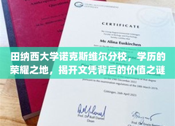 文凭荣耀背后的秘密，田纳西大学诺克斯维尔分校的价值探寻之旅