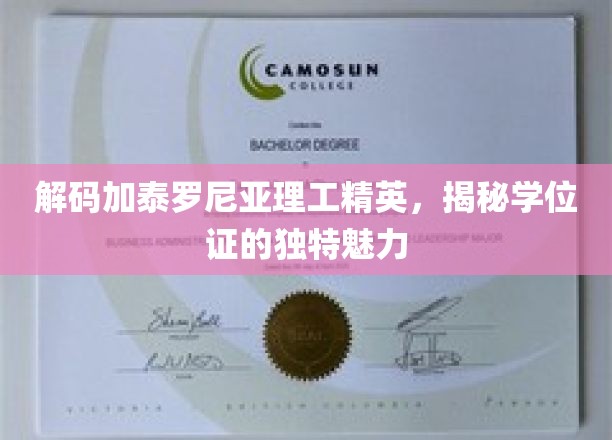 解锁加泰罗尼亚理工骄子学位证背后的非凡故事