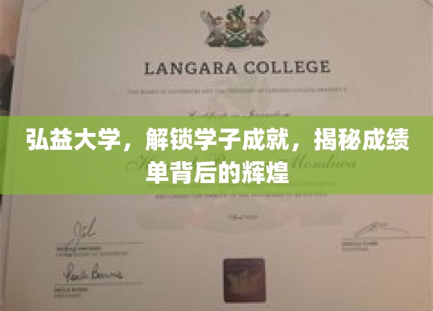 弘益学府之光，揭开学子卓越背后的秘密成就