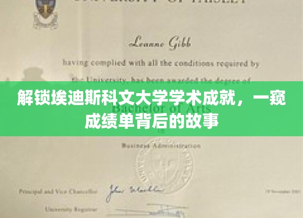 探寻埃迪斯科文大学荣耀背后的卓越篇章