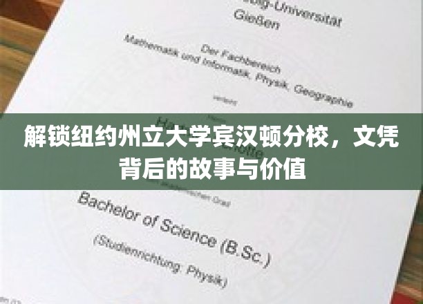 探寻纽约州立大学宾汉顿分校，文凭背后的故事与价值