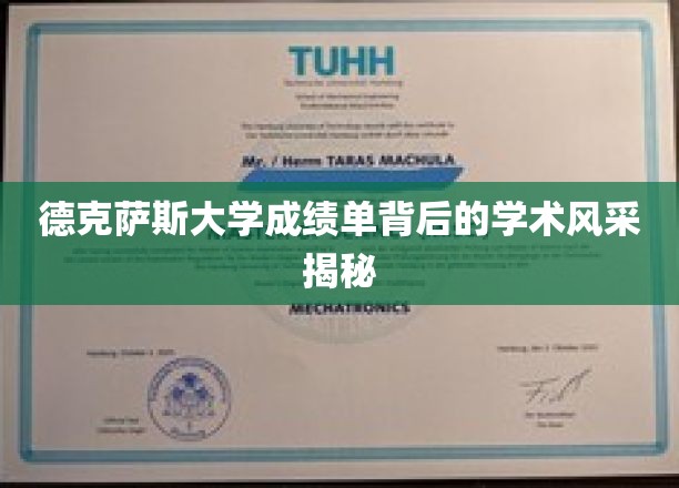 德克萨斯大学成绩单背后的学术风采揭秘