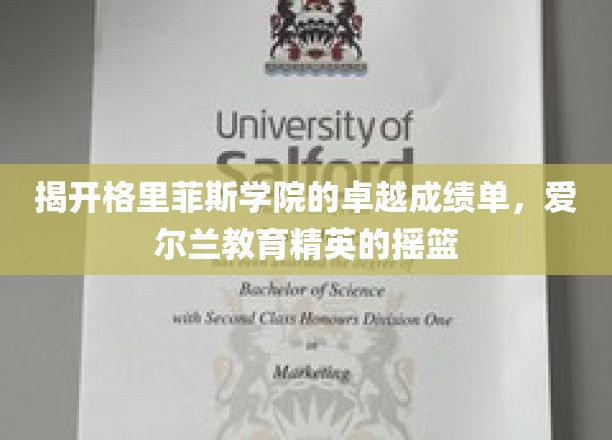 探寻爱尔兰教育之光，格里菲斯学院如何培育未来精英