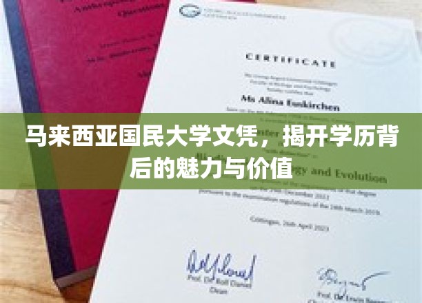 马大文凭揭秘，探寻学历之光背后的独特魅力