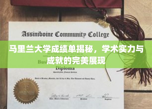 马里兰大学，成绩单背后的学术辉煌与卓越成就