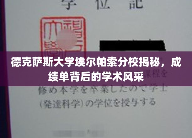 德克萨斯大学埃尔帕索分校，探寻成绩单背后的璀璨学术星河