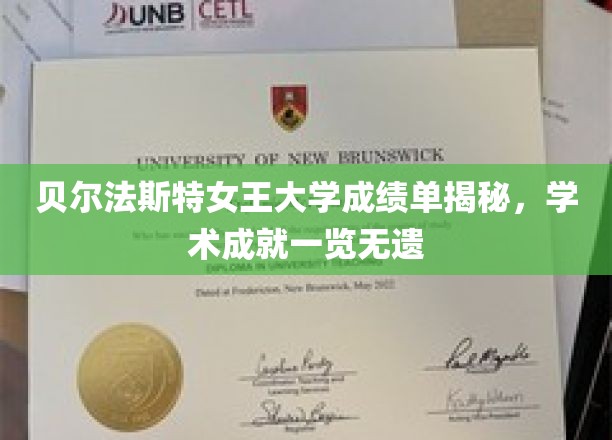 贝尔法斯特女王大学成绩单解析，学术成就尽收眼底