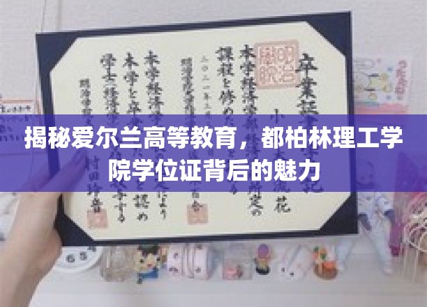 探索都柏林理工学院，学位证书背后的独特魅力