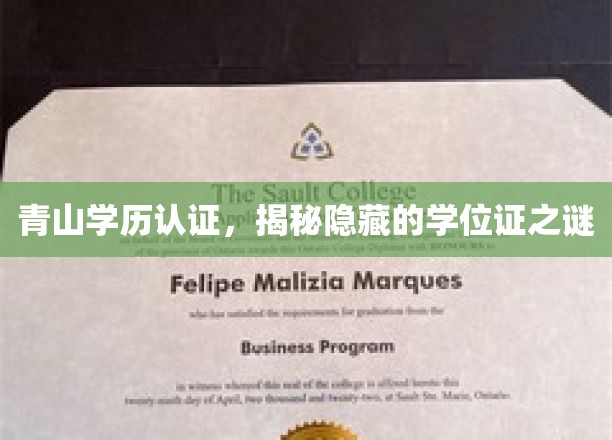 揭开学历认证之谜，青山学位证的神秘面纱