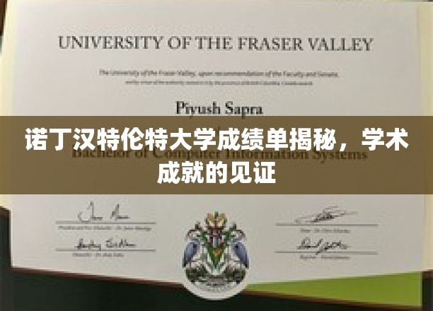 诺丁汉特伦特大学成绩单背后的学术荣耀瞬间