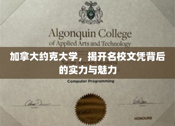 加拿大约克大学，揭开名校文凭背后的实力与魅力