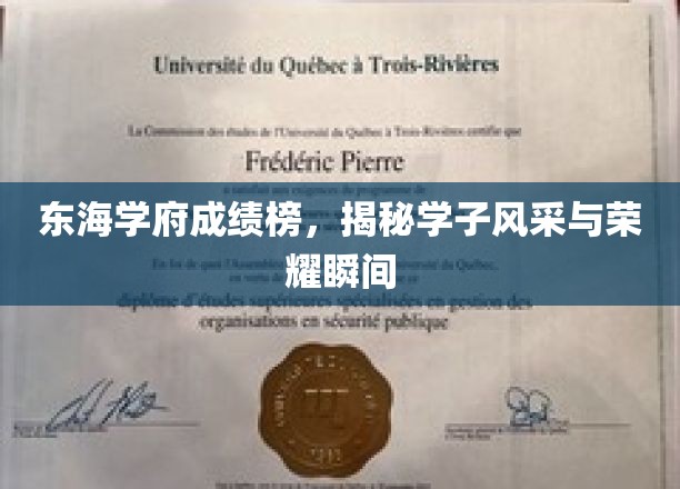 东海学府成绩榜，展现学子风采与荣耀瞬间