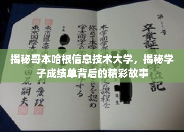 揭秘哥本哈根信息技术大学，揭秘学子成绩单背后的精彩故事