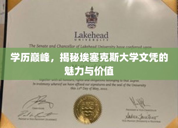 学历巅峰，揭秘埃塞克斯大学文凭的魅力与价值