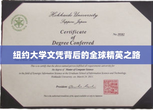 纽约大学文凭背后的全球精英之路