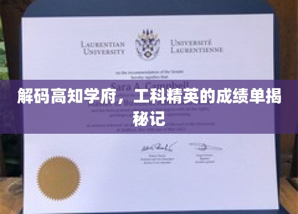 探秘精英摇篮，揭秘高知学府工科精英的成长轨迹