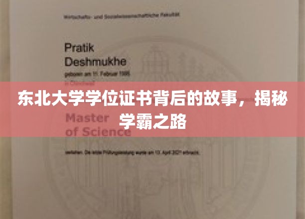 东北学霸秘境，揭秘东北大学学位证书背后的辉煌历程