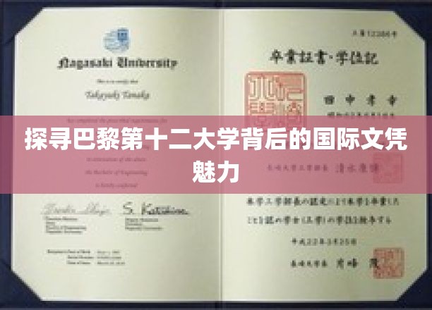 解码巴黎第十二大学，国际文凭的非凡吸引力