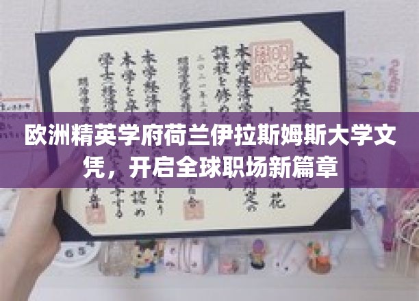 荷兰伊拉斯姆斯大学文凭，助力国际职场精英跃升新高度