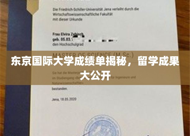 东京国际大学留学成果大盘点，揭秘学子卓越表现！