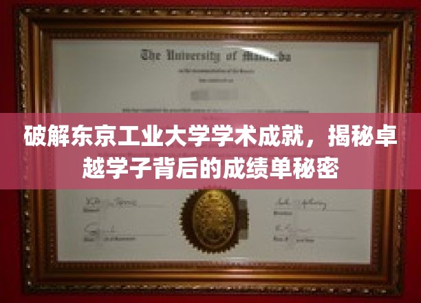 东京工业骄子背后的学术密码，揭秘卓越学子的卓越之路