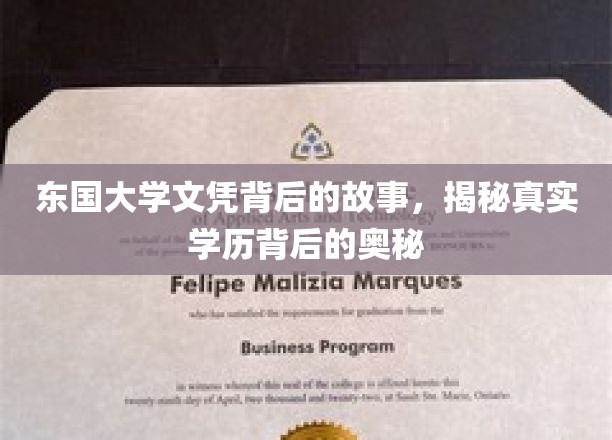 东国大学文凭之谜，探寻学历背后的真实面纱