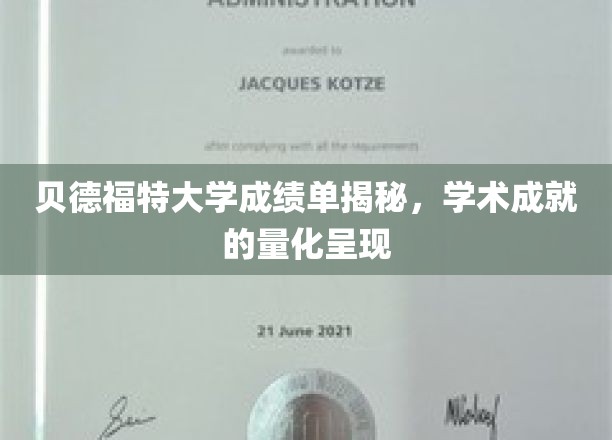 贝德福特大学成绩单深度解析，学术成就的精准体现