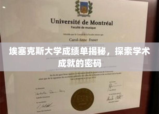 埃塞克斯大学成绩单揭秘，解码学术成就的秘密