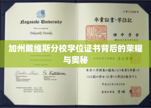 解码加州戴维斯学位证书，荣耀传承与不为人知的秘密