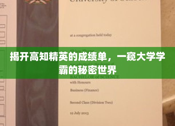 揭开高知精英的成绩单，一窥大学学霸的秘密世界
