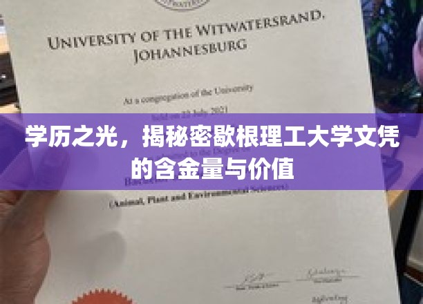 学历之光，揭示密歇根理工大学文凭的含金量与价值