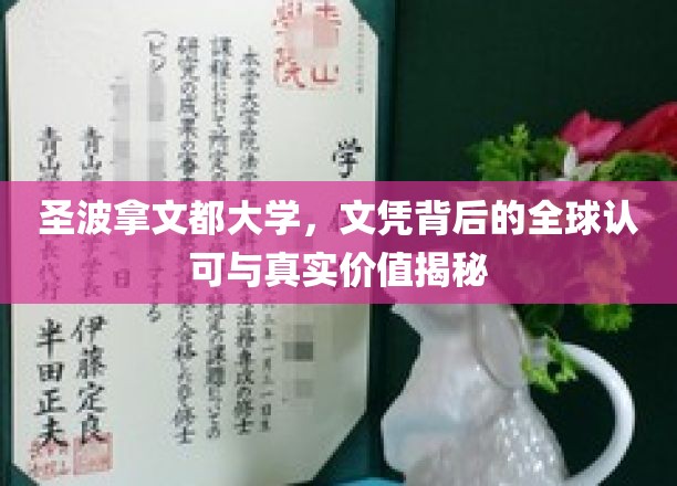 揭开圣波拿文都大学文凭的国际认可与实际含金量之谜