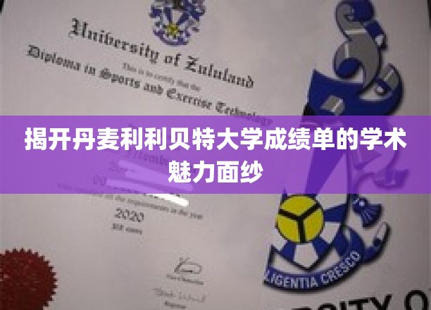 探寻丹麦利利贝特大学成绩单背后的学术风采