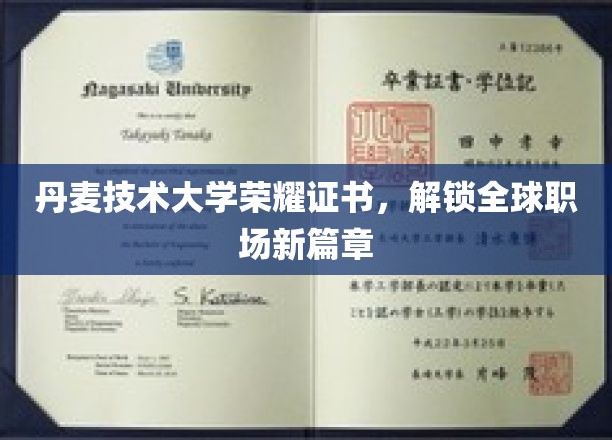 丹麦技术大学荣耀证书，解锁全球职场新篇章